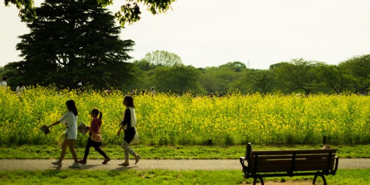 季節の変わり目に強くなる！看護師直伝ケア＆名古屋の一時保育・託児所の安心サポート